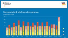 BAFA-Zahlen im November 2018