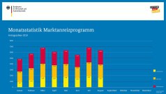 BAFA-Zahlen im August 2019