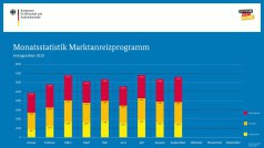 BAFA-Zahlen im September 2019