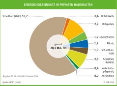 INFRO: Deutscher Brennholzverbrauch