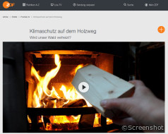 Frontal 21-Beitrag zur Holzverbrennung