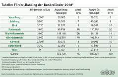 Förderrangliste für Pelletsheizungen