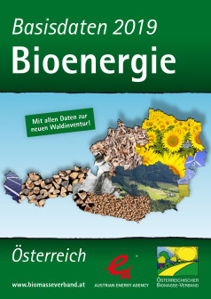 Basisdaten Bioenergie 2019